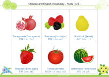 Fruit Flash Card 4